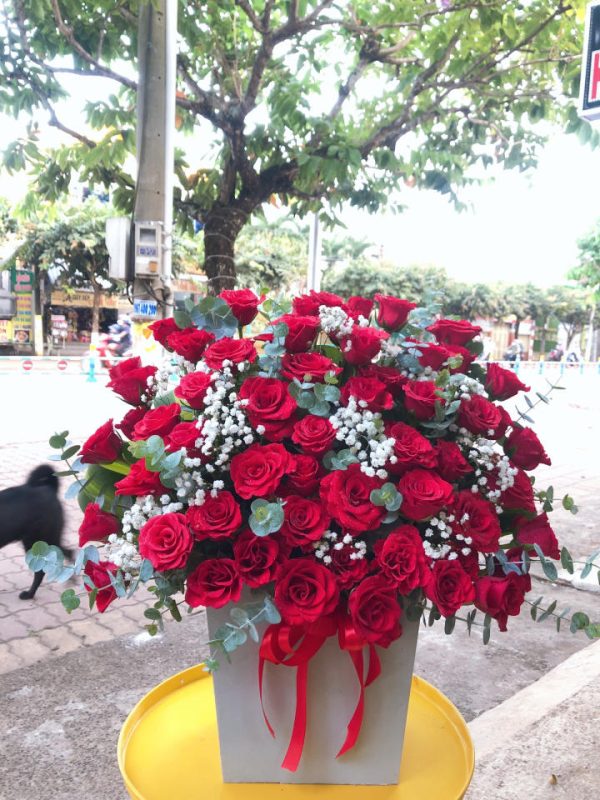 Shop Hoa Tươi Huyện Cam Lộ, Tỉnh Quảng Trị