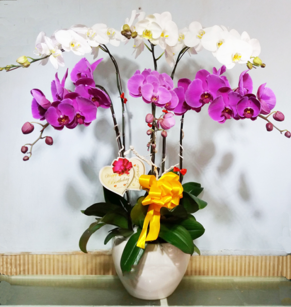 Shop Hoa Tươi Huyện Gio Linh, Tỉnh Quảng Trị